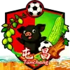屯昌队